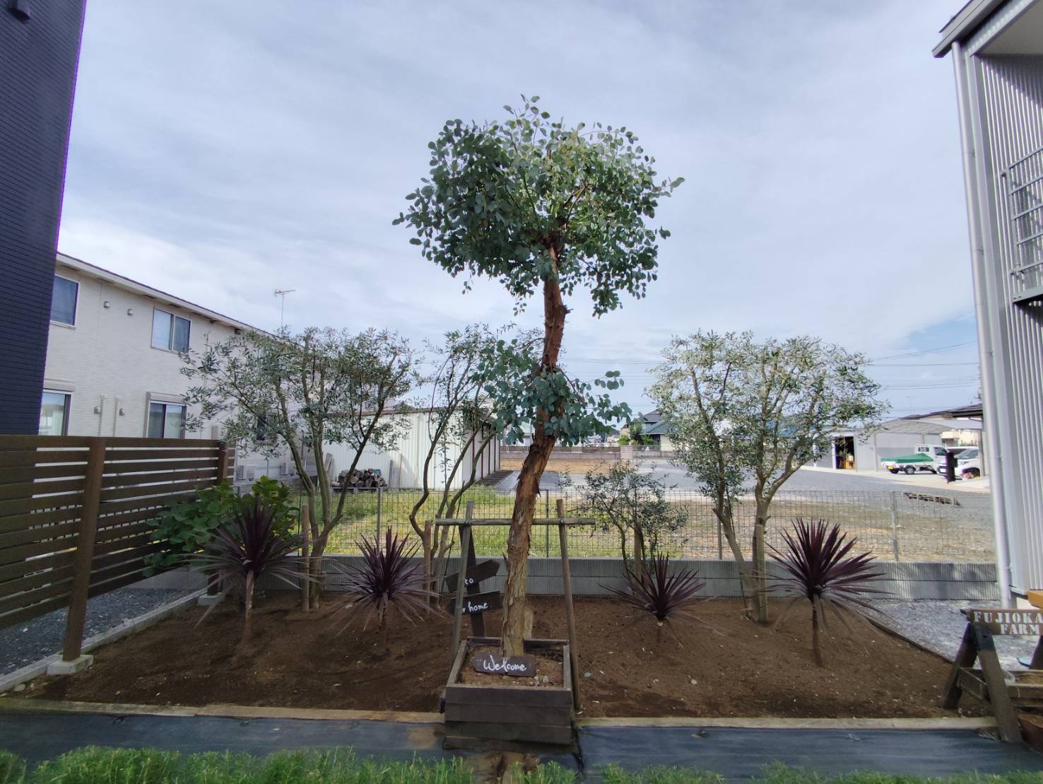 お庭の植栽の剪定